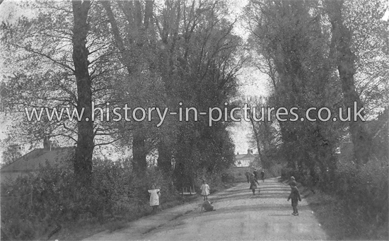 Avenue, Hullbridge Road, Woodham Ferrers, Essex. c.1910
